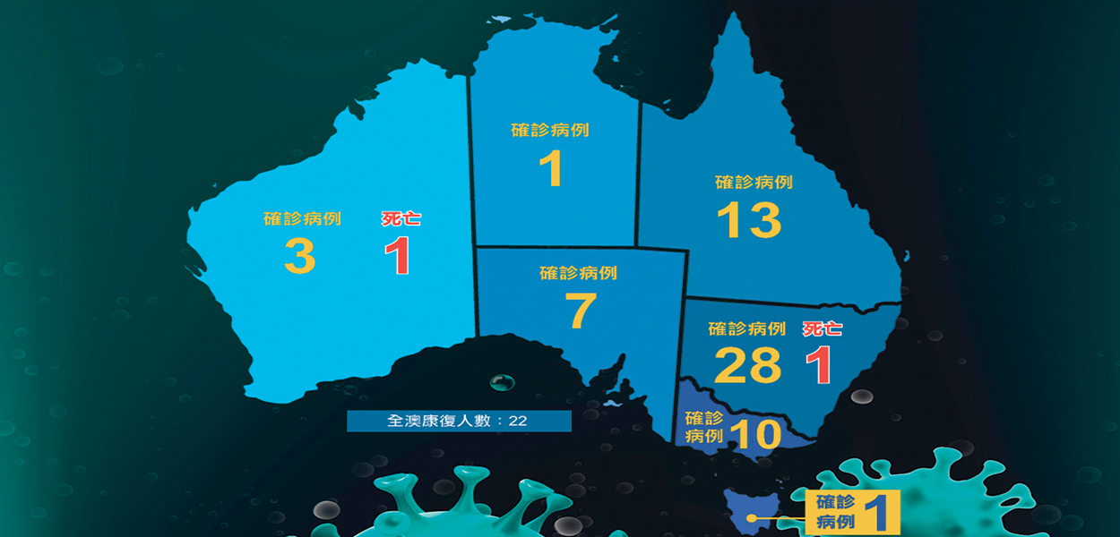 全澳疫情数据