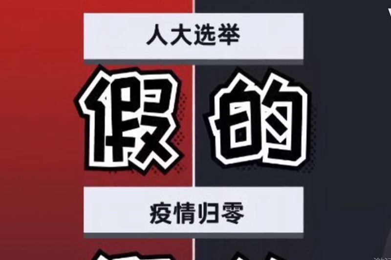 3月15日，民主人士在洛杉矶总领事馆门前，喊“假的”。