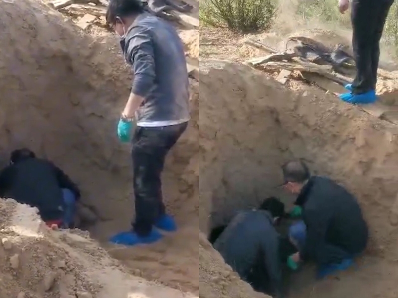 警察现场挖开遭活埋王老太太。