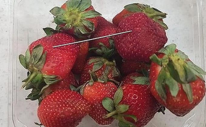草莓藏针