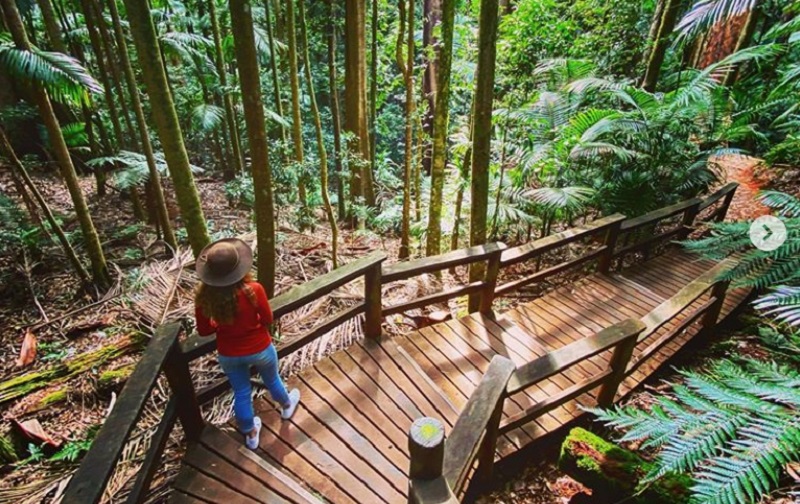 D’Aguilar National Park