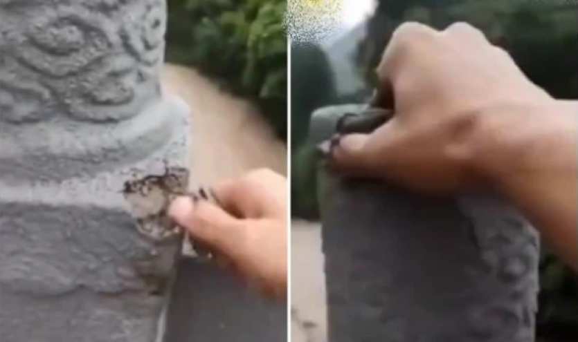 手撕大桥