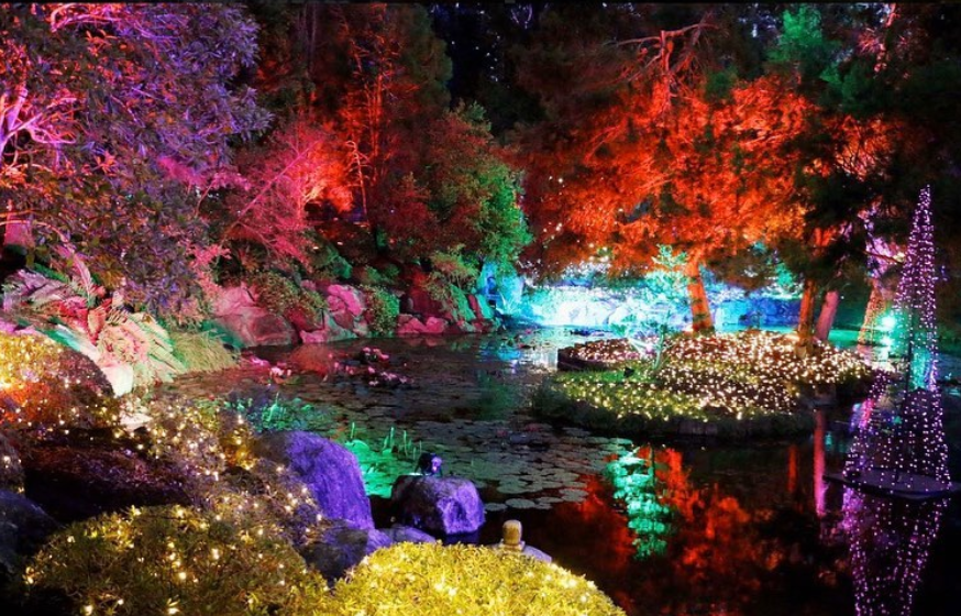 日式花園Nerima Gardens
