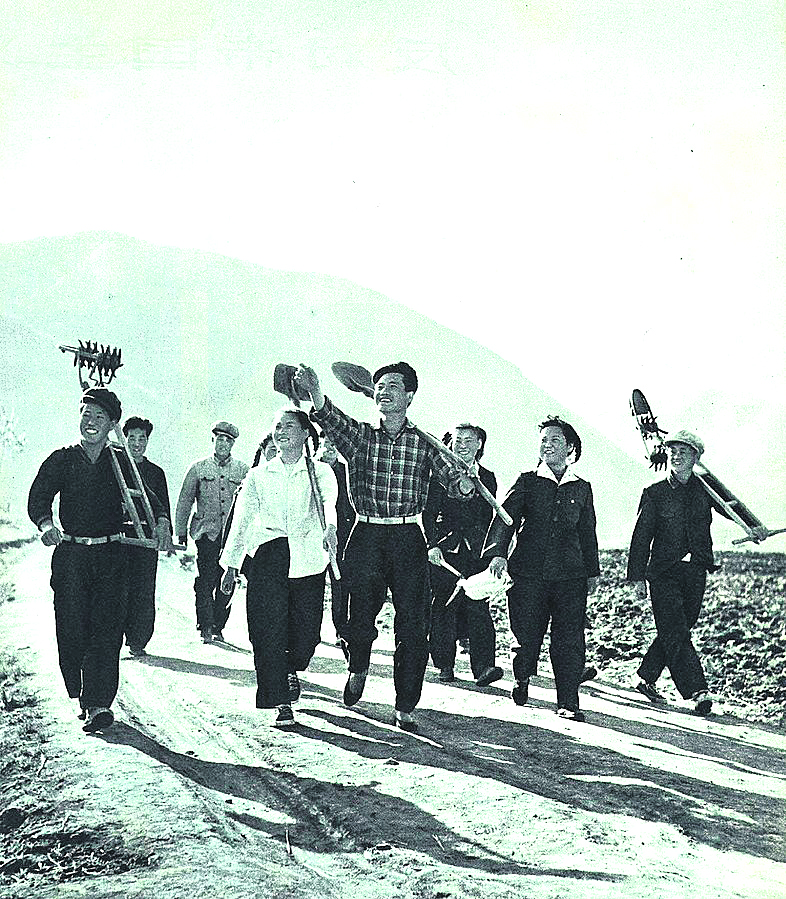 1964年下乡知青
