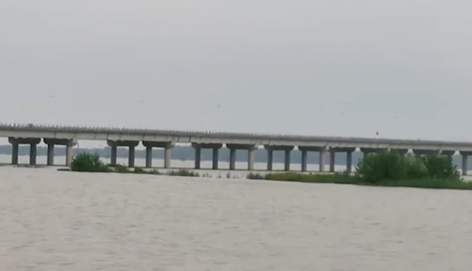朱海荣跳河地点