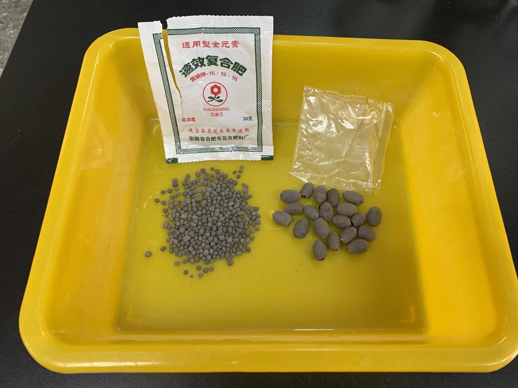 中国寄到台湾的不明种子（图片来源：中央社）