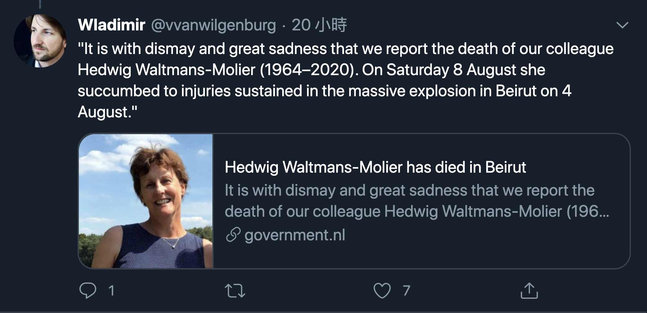 赫德维格（Hedwig Waltmans-Molier）（图片来源：推特/）