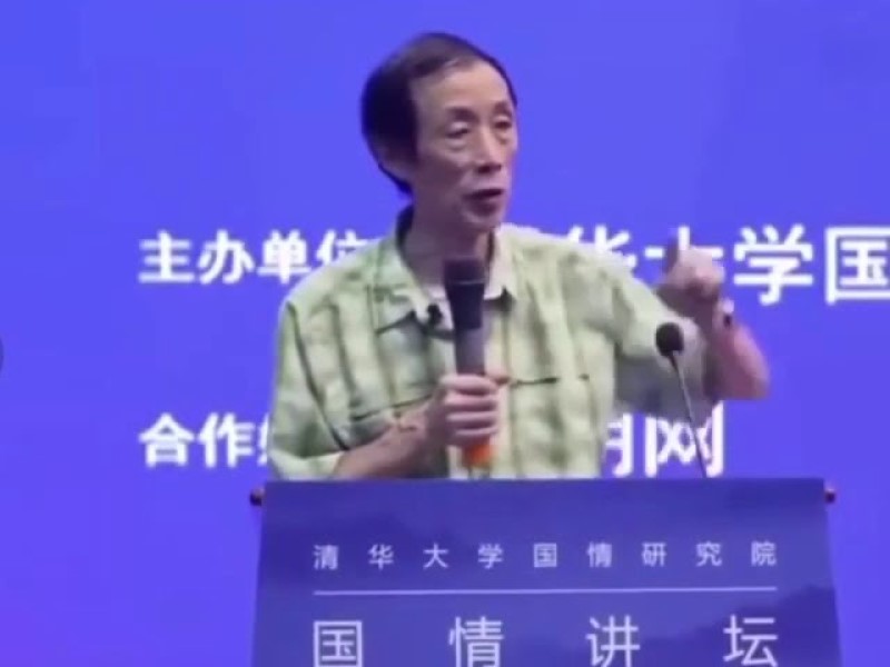 复旦大学中国研究院研究员陈平