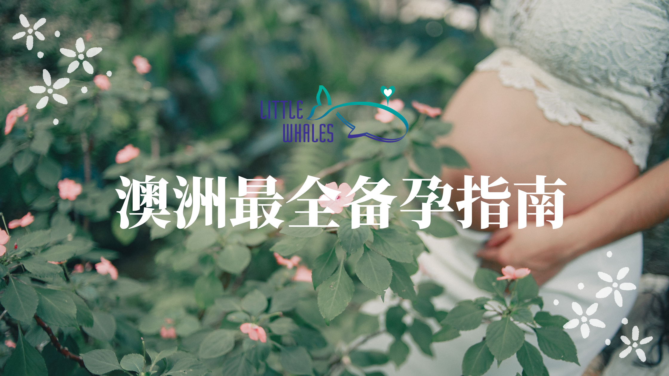 备孕指南