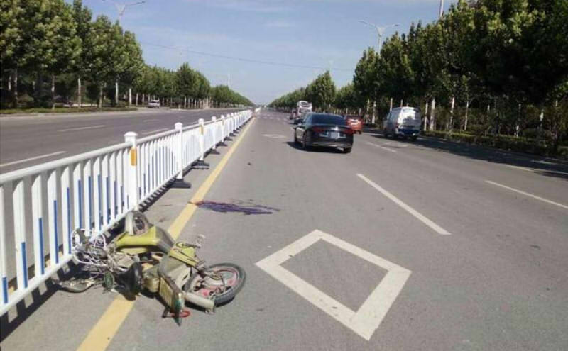 村支书雇凶撞死举报者