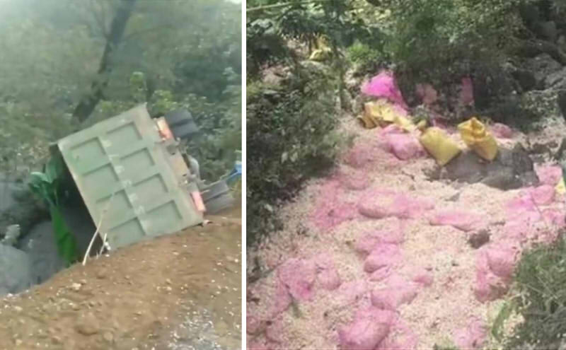 河南一货车侧翻掩压路边捡蒜群众