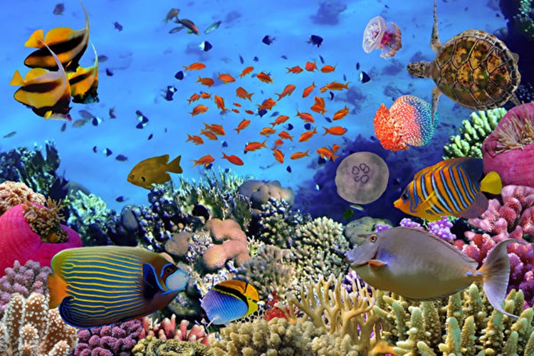 水族馆