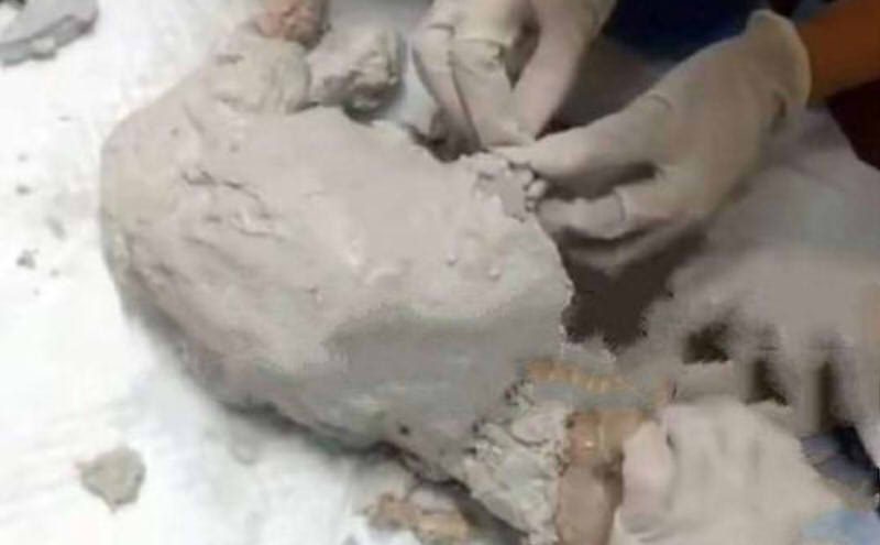 北京街头三个月大狗狗浑身涂石膏被遗弃