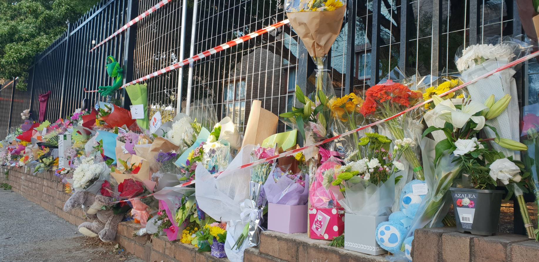 悉尼华裔男童车祸惨死