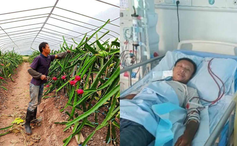 尿毒症男子包下60亩地自救