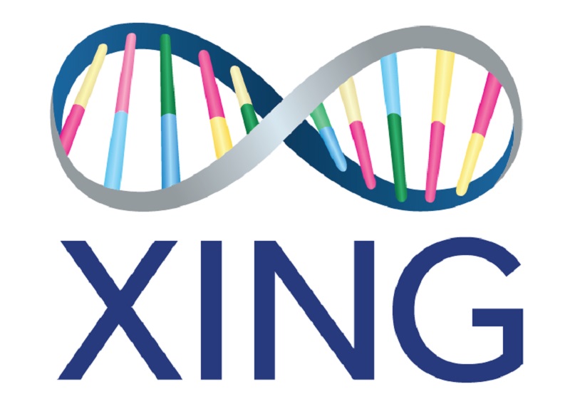 昆州的Xing Technologies公司