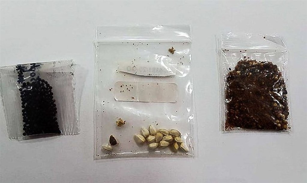 不明包裹中的内容物，泥土、不明种子、和一些害草