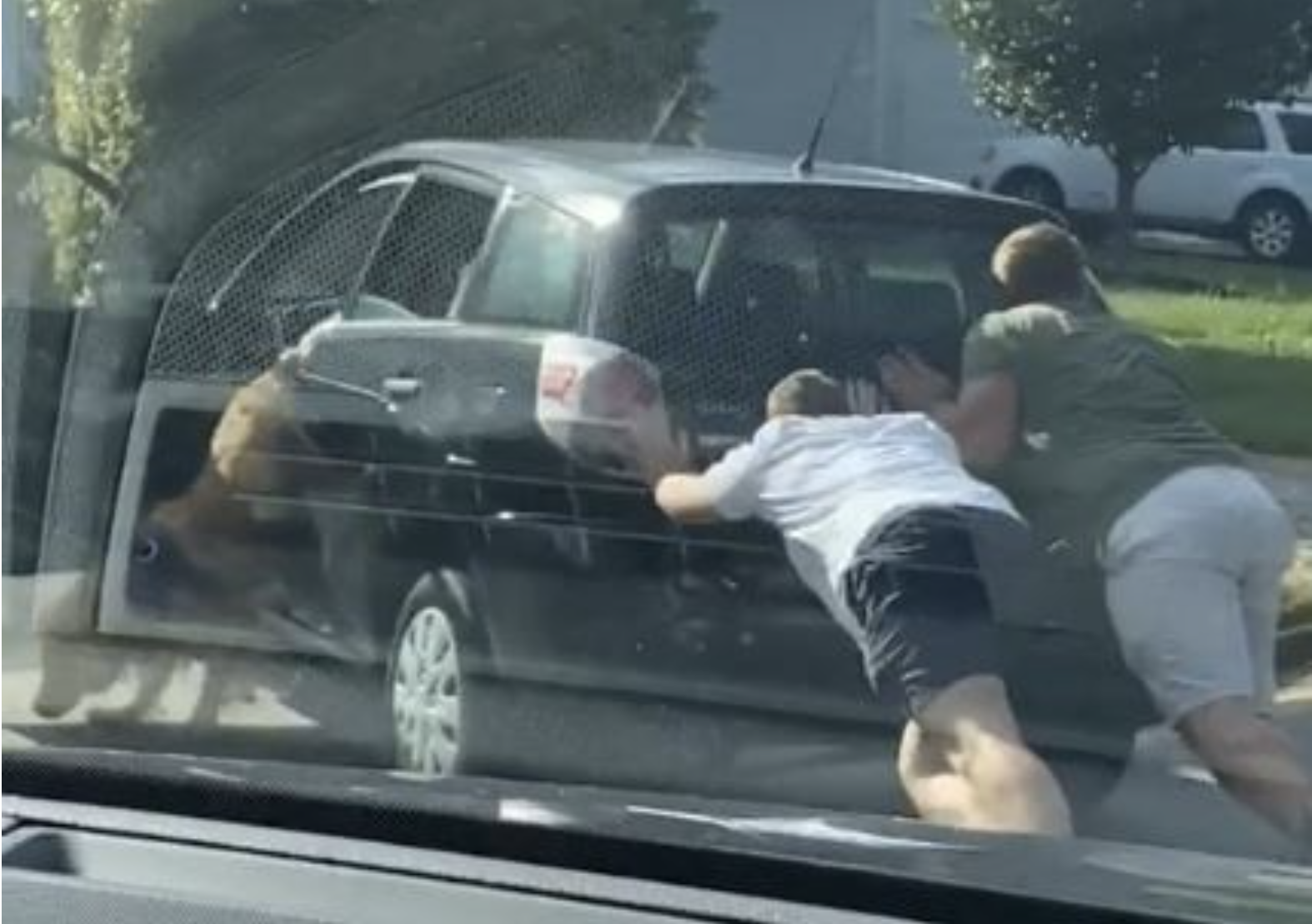 黃金獵犬跳下車（圖片來源：翻攝自凱拉抖音截圖）