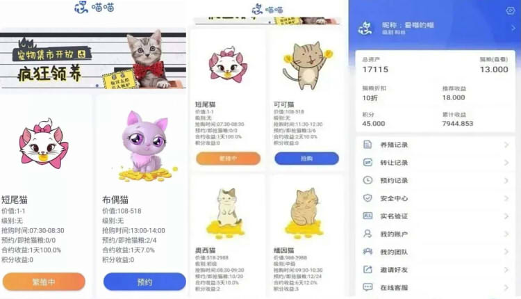 云养猫骗局