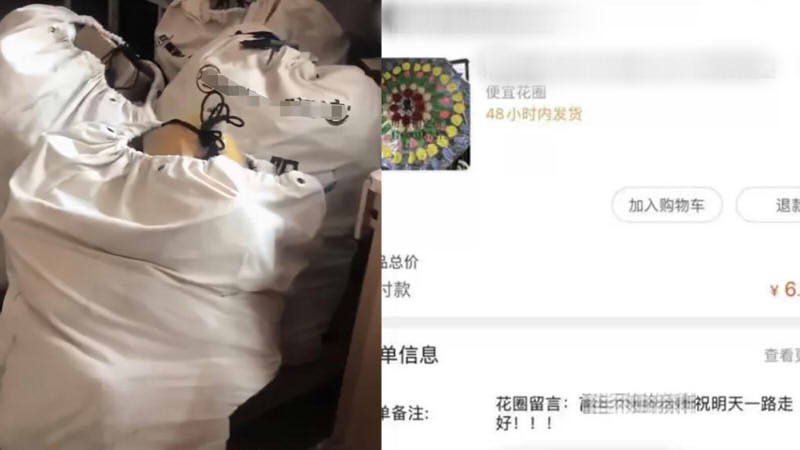 太原男子虐猫事件后续