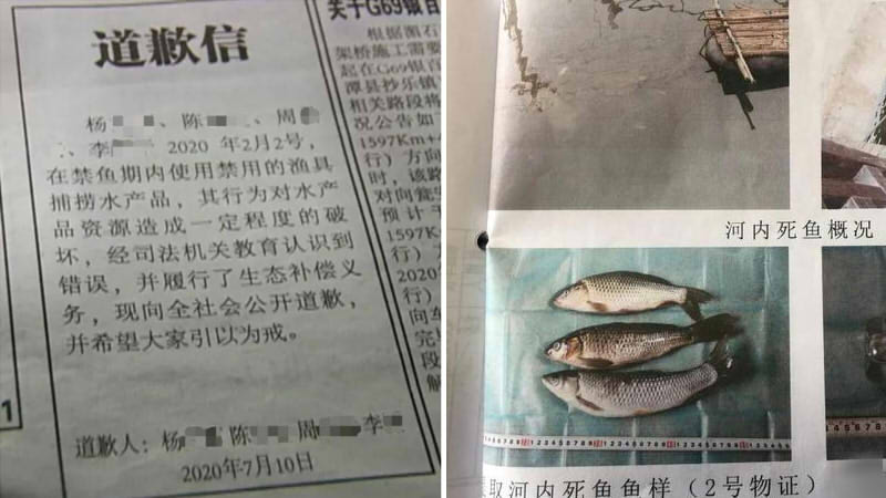 4男子投毒致2.2公里河段鱼类几近灭绝
