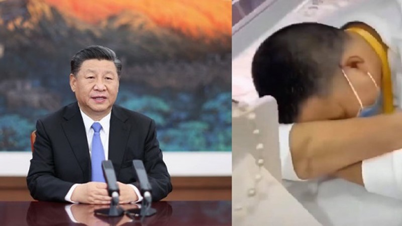 上海进博会