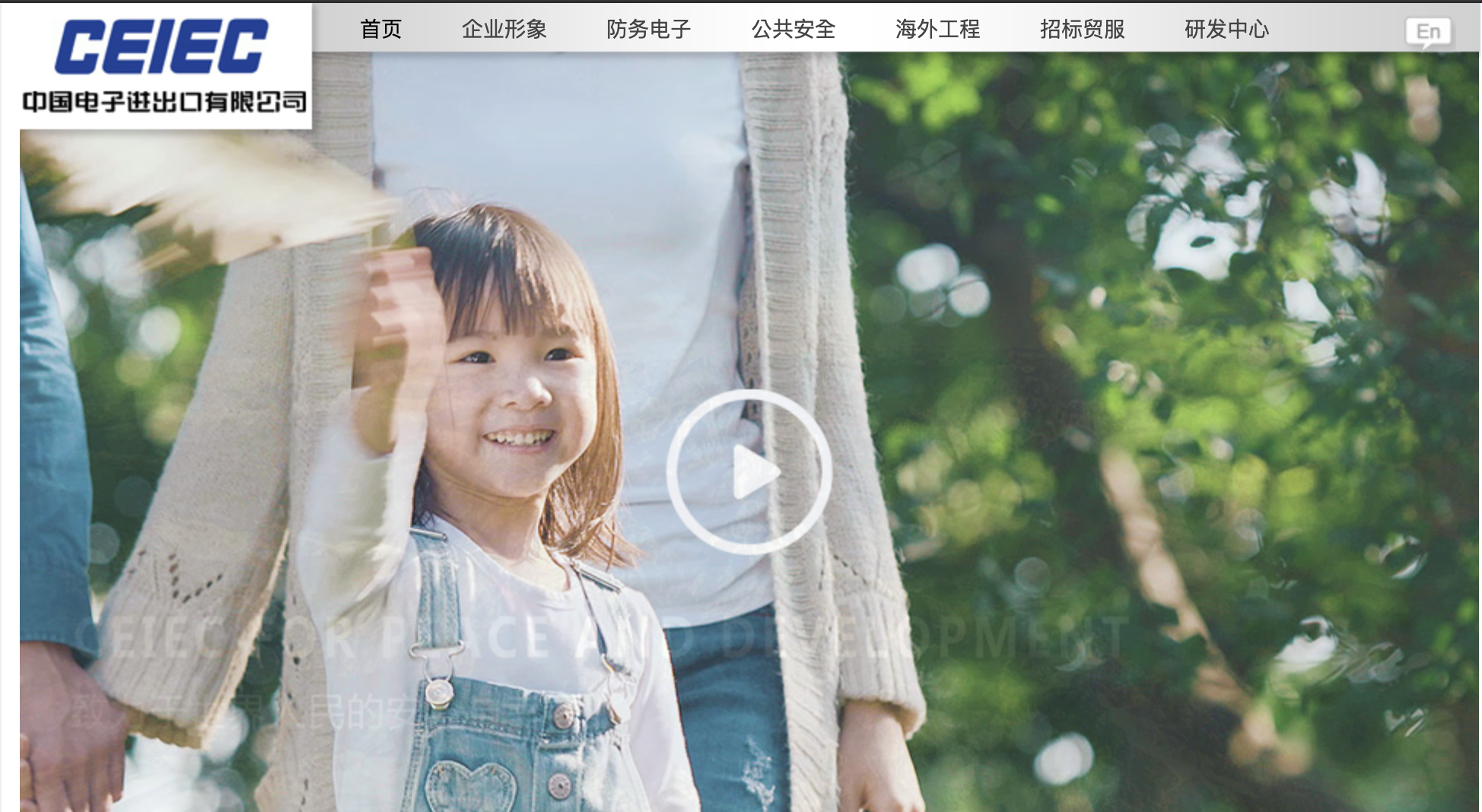 中国电子进出口有限公司