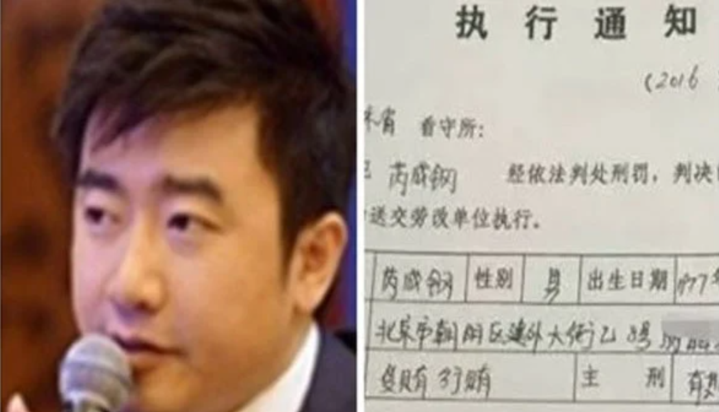 前央视主播芮成钢