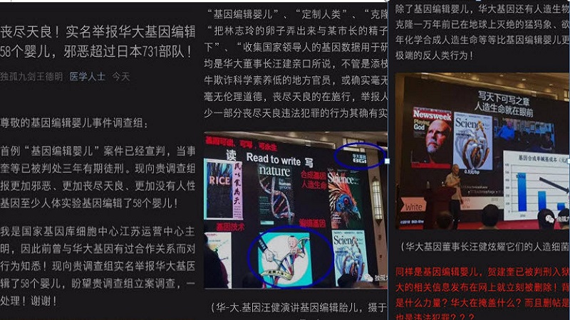 華大被舉報編輯嬰兒基因 相關消息全網封殺