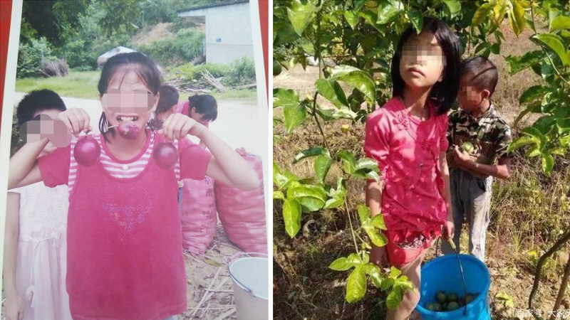 “百香果女童案”再审开庭将择期宣判