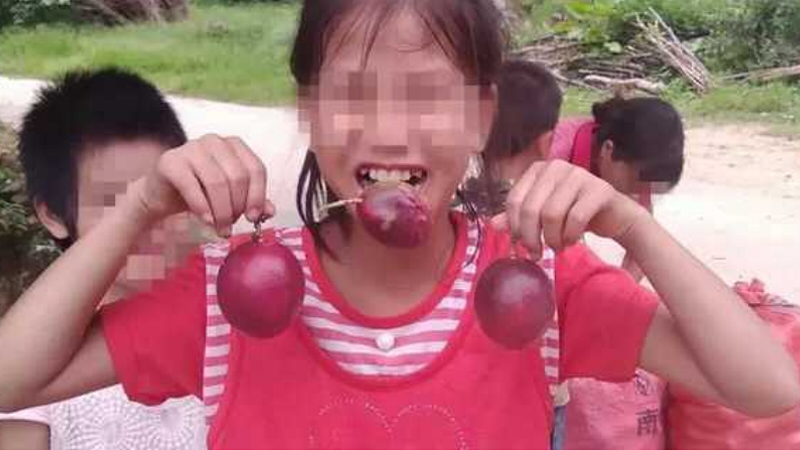 百香果女童案被害人