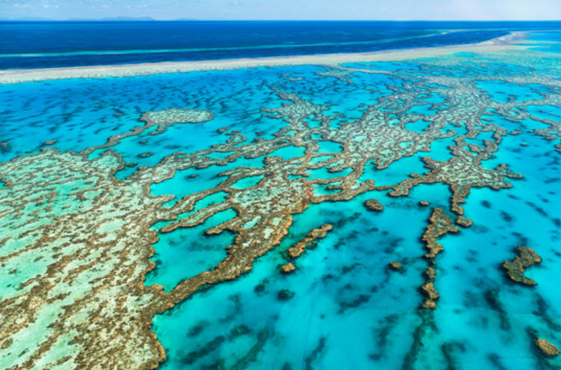大堡礁（Great Barrier Reef）全长有2300公里
