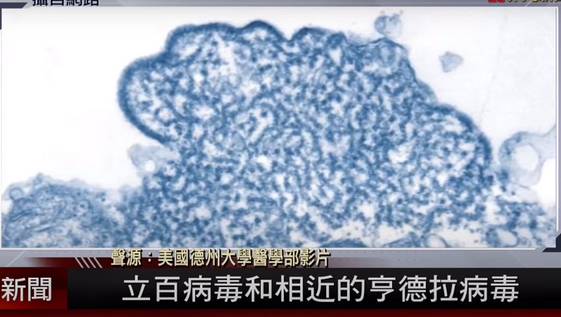 荷兰研究称立百病毒恐引下波疫情 致死率75%