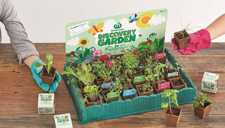 Discovery Garden系列的收藏品回歸