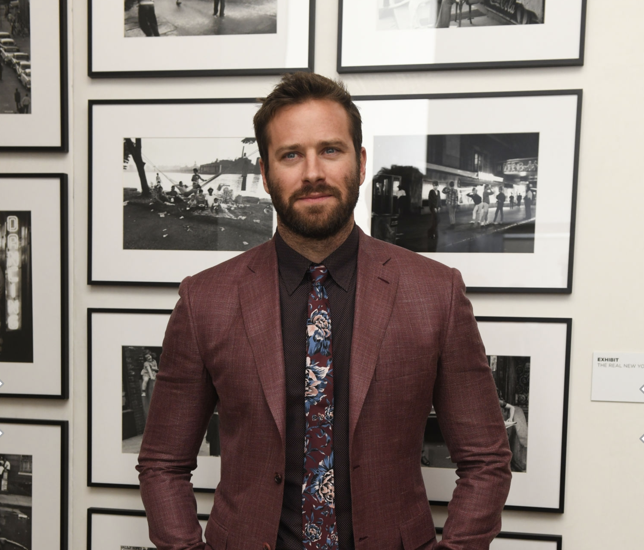 演员艾米·汉莫（Armie Hammer）