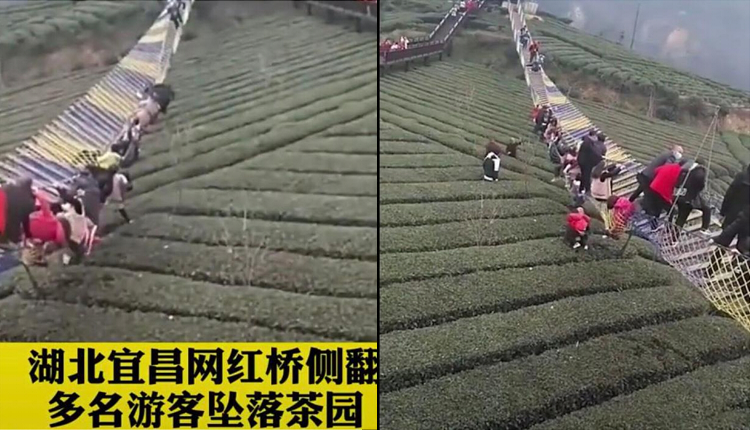 网红吊桥侧翻