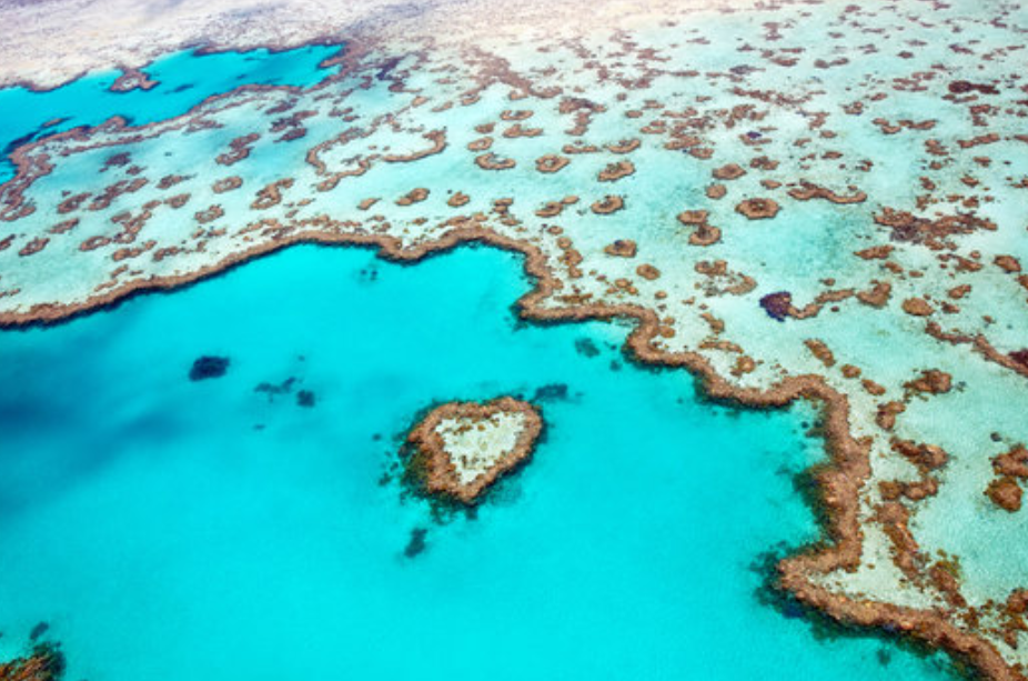 心形礁（Heart Reef）