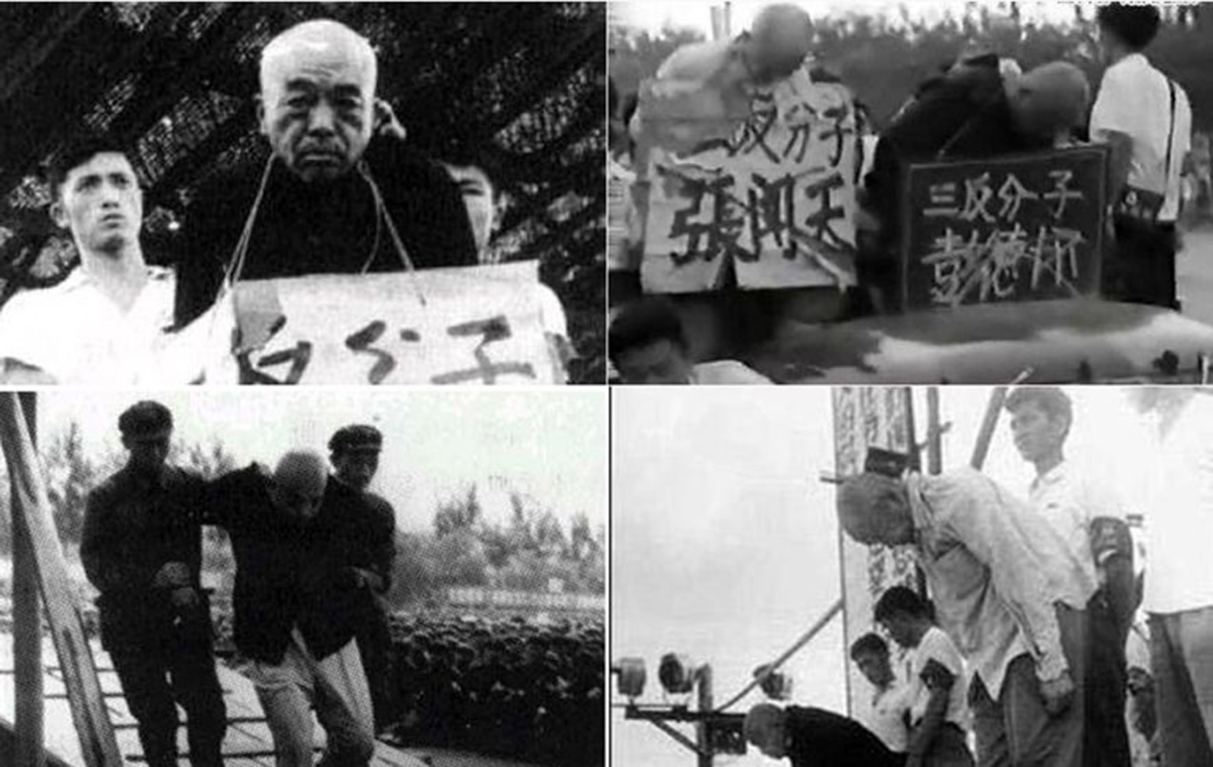 彭德怀被揪斗