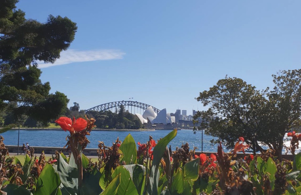 澳洲，旅游，悉尼，大铁桥，悉尼海港大桥，风景