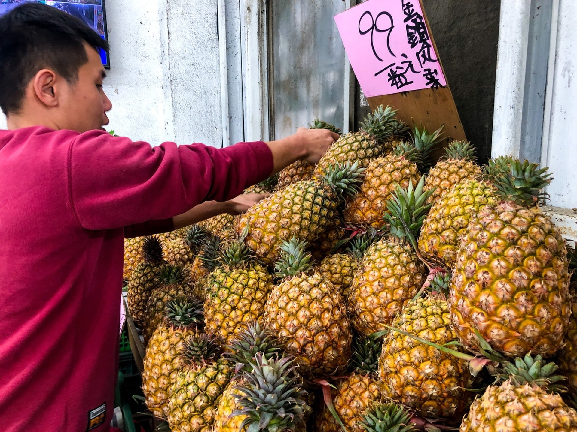 台湾凤梨