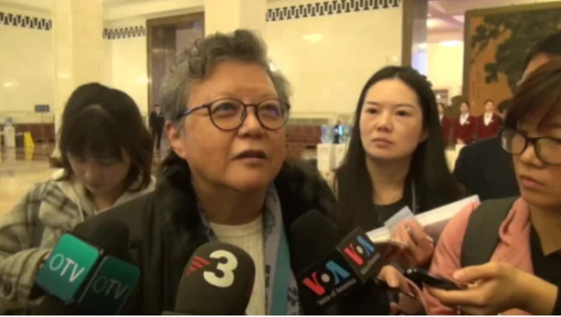 前港区人大常委范徐丽泰