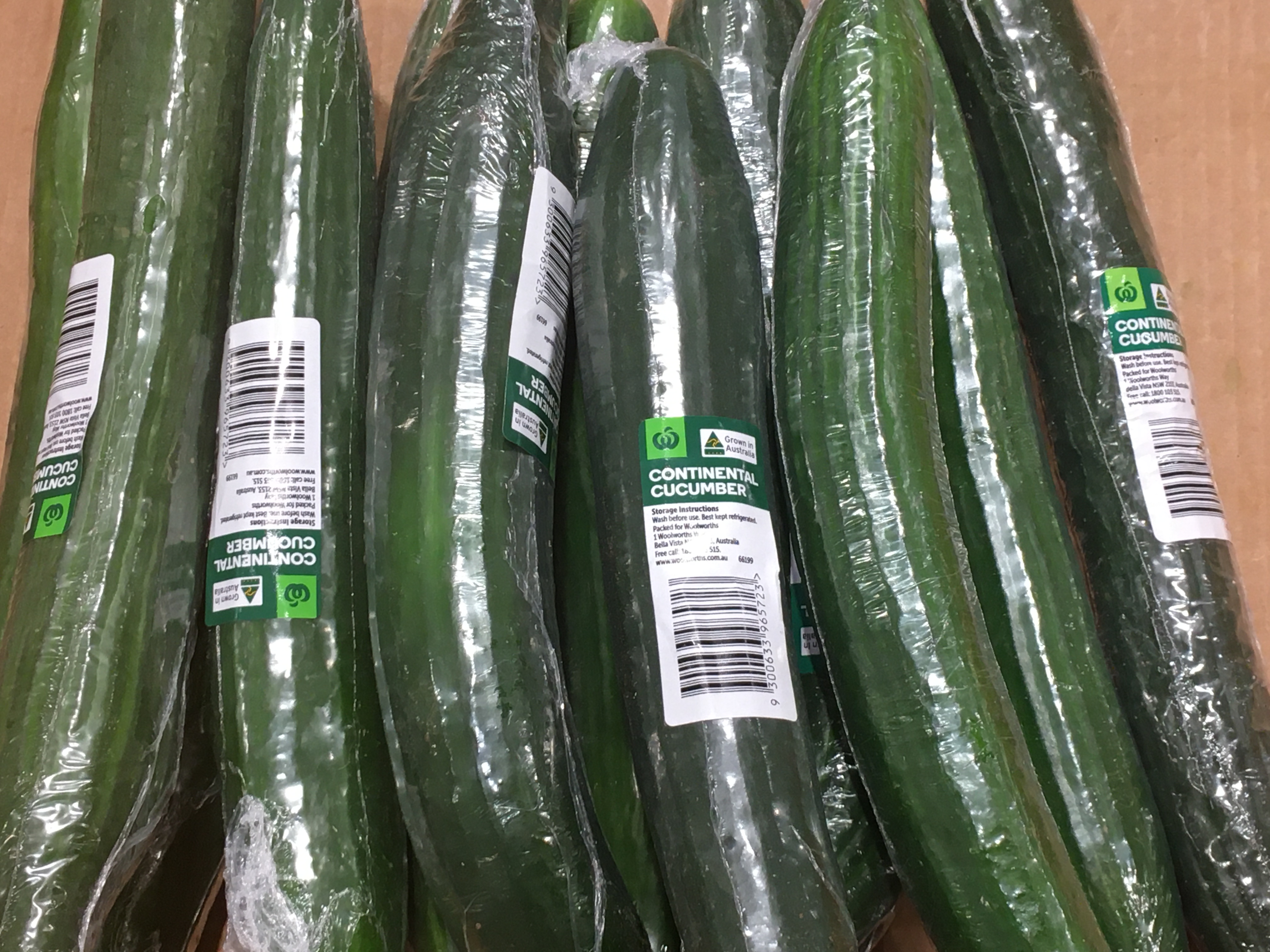蔬菜 黄瓜