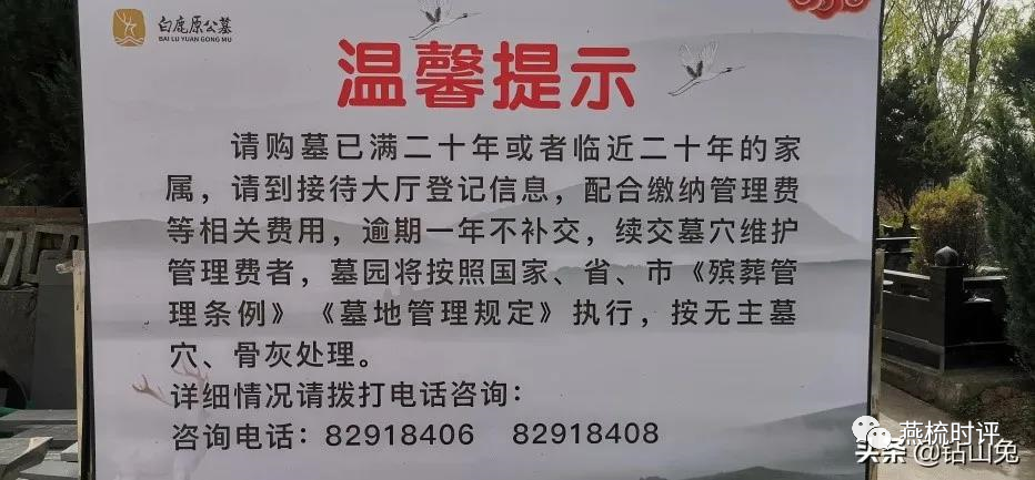网络图片