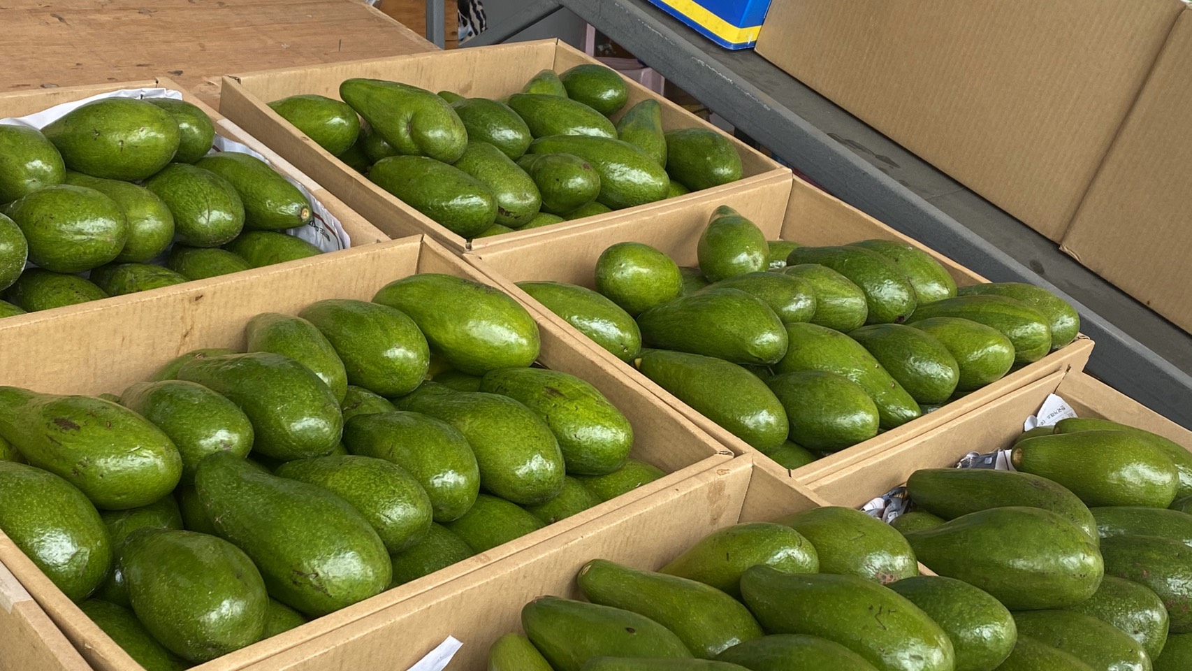 酪梨 牛油果 水果 avocado