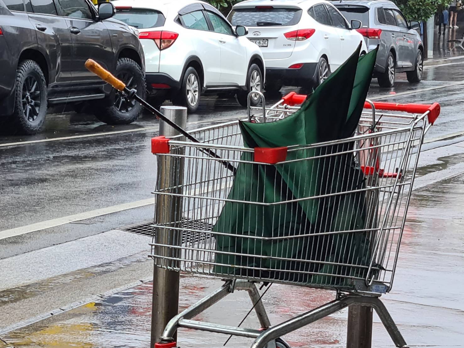 下雨 雨伞 大雨 天气 路人 Hurstville