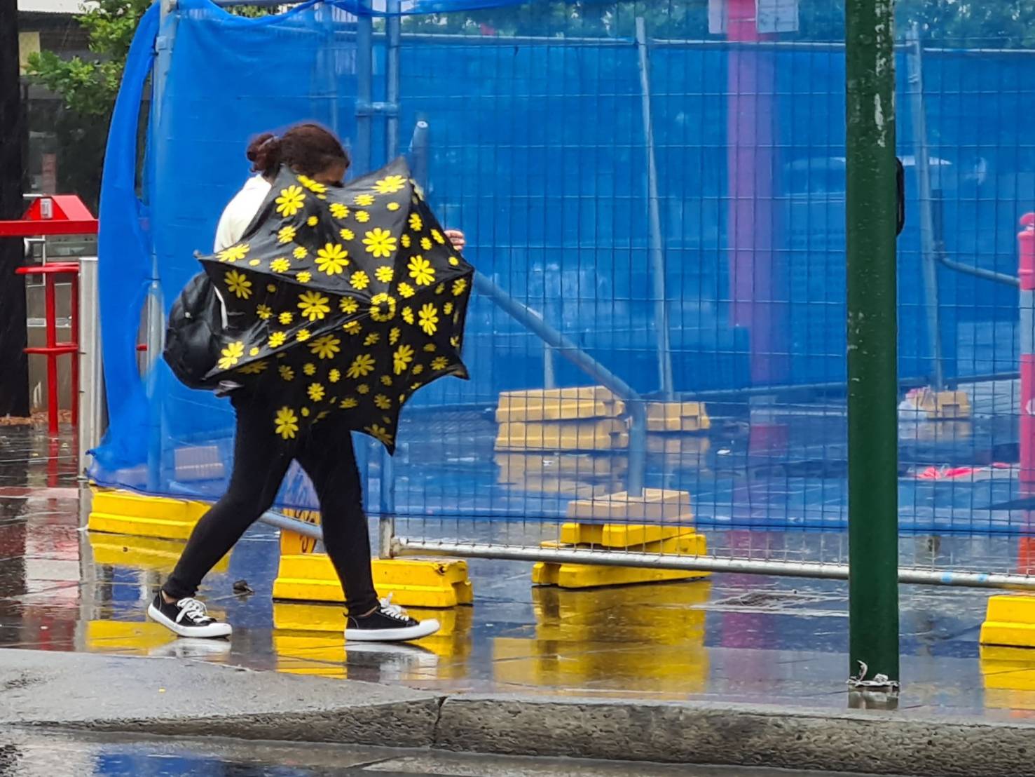 下雨 雨伞 大雨 天气 路人 Hurstville