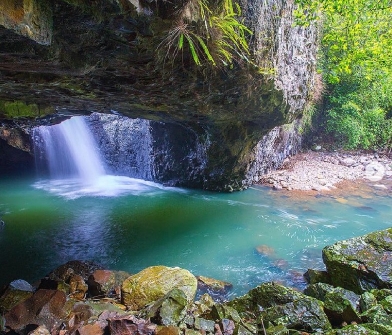 Springbrook National Park，瀑布