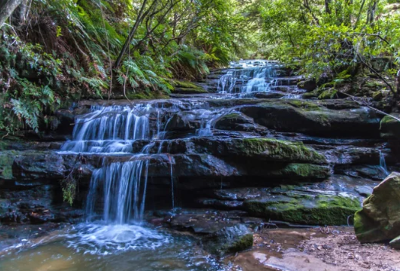 蓝山国家公园里的Leura Cascades