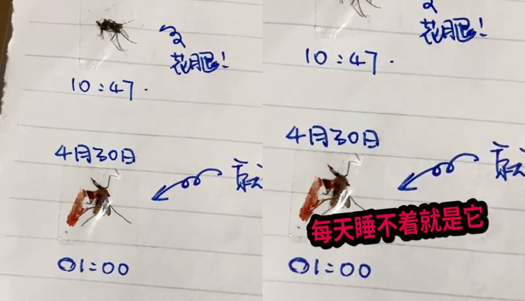 深圳男子制作灭蚊日记