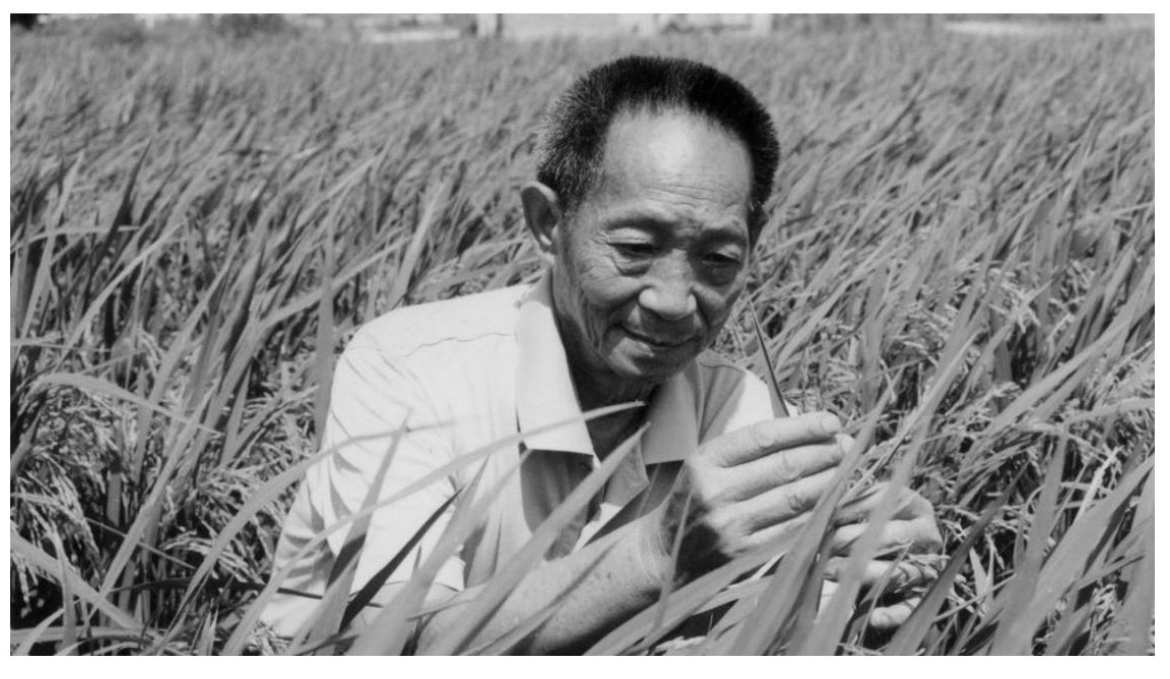 袁隆平 图片来源：推特